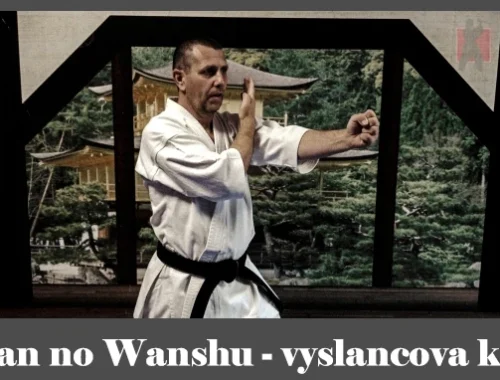 obrázok- karate kata Kyan no Wanshu