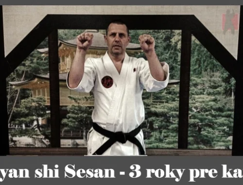 obrázok- karate kata Kyan shi Sesan