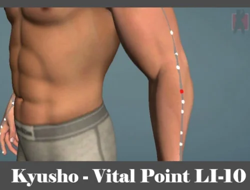 obrázok -Kyusho - poloha vitálneho (akupunktúrneho) bodu LI-10