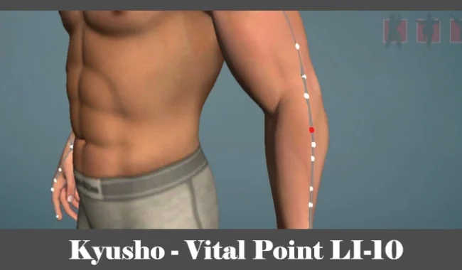 obrázok -Kyusho - poloha vitálneho (akupunktúrneho) bodu LI-10