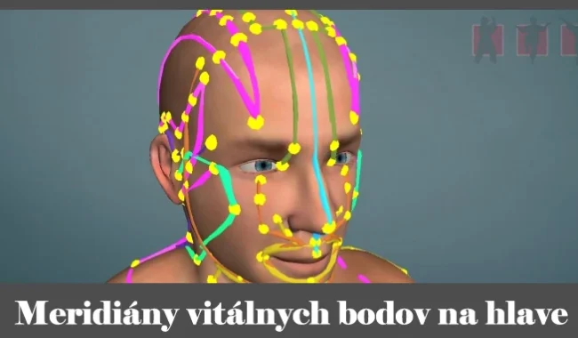 obrázok- meridiány vitálnych akupunktúrnych bodov na hlave