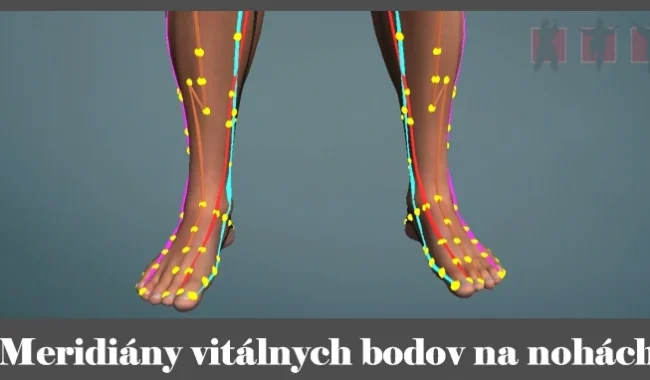 obrázok- meridiány vitálnych akupunktúrnych bodov na nohách