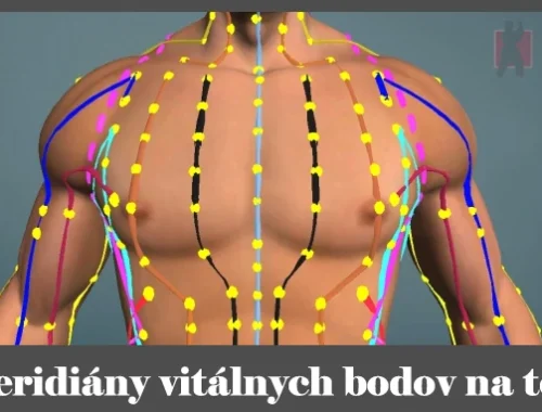 obrázok- meridiány vitálnych akupunktúrnych bodov na tele
