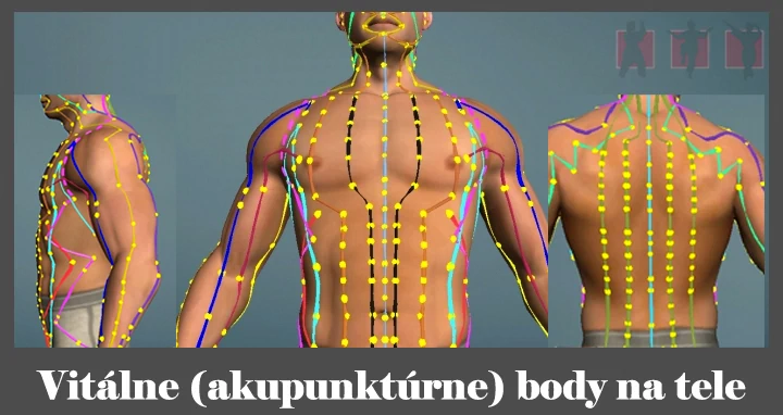 obrázok- najdôležitejšie meridiány vitálnych akupunktúrnych bodov na tele