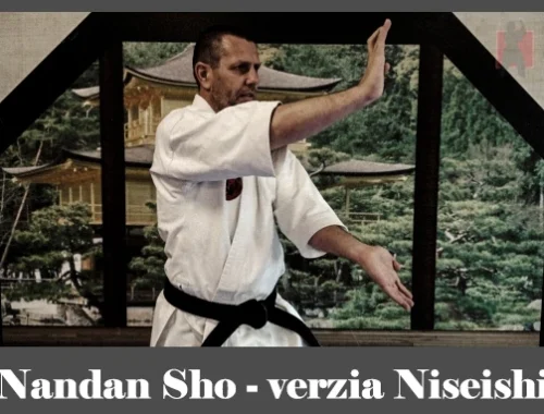 obrázok- karate kata Nandan Sho