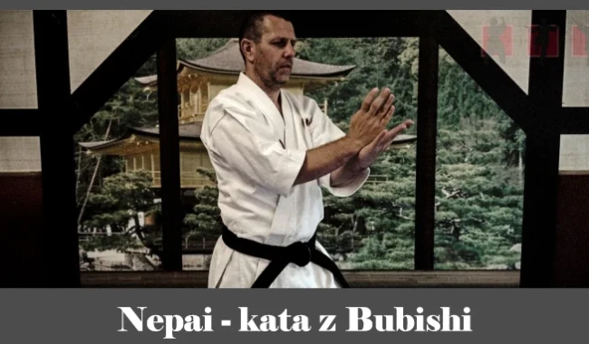 obrázok- karate kata Nepai