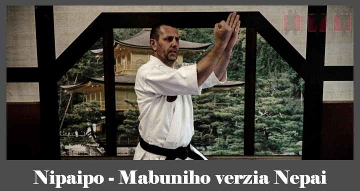 obrázok- karate kata Nipaipo
