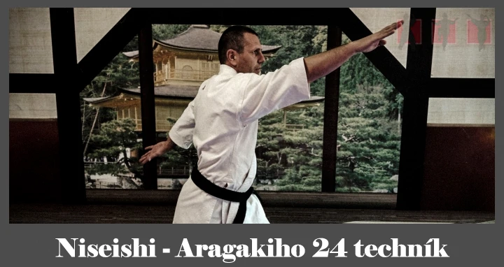 obrázok- karate kata Niseishi
