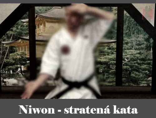 obrázok- karate kata Niwon