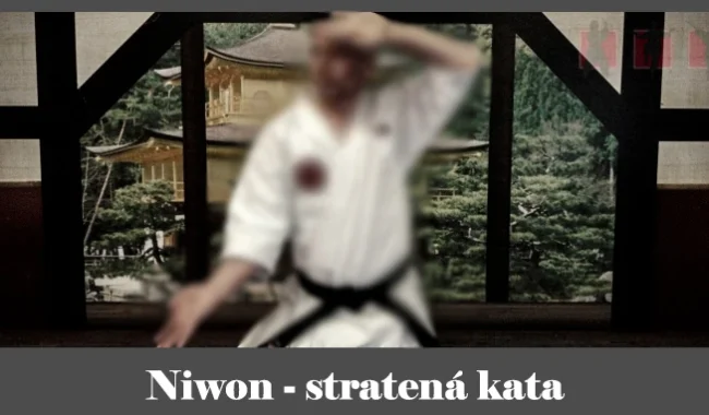 obrázok- karate kata Niwon
