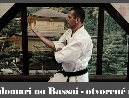 obrázok- karate kata Oyadomari no Bassai