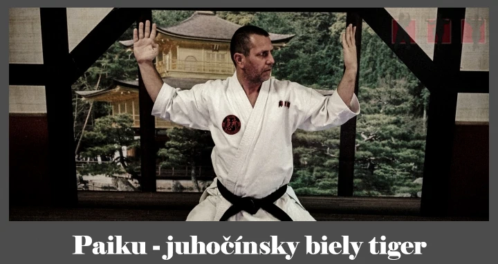 obrázok- karate kata Paiku