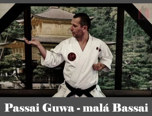 obrázok- karate kata Passai Guwa
