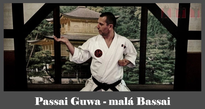 obrázok- karate kata Passai Guwa
