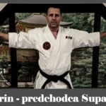 obrázok- karate kata Pichurin