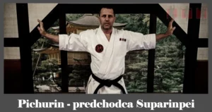 obrázok- karate kata Pichurin