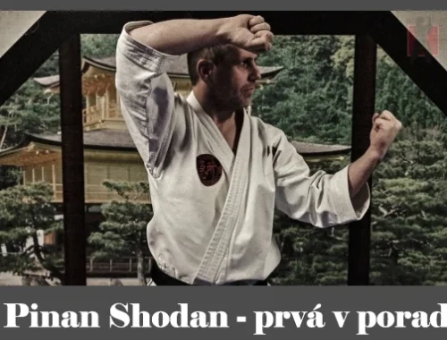 obrázok- karate kata Pinan Shodan