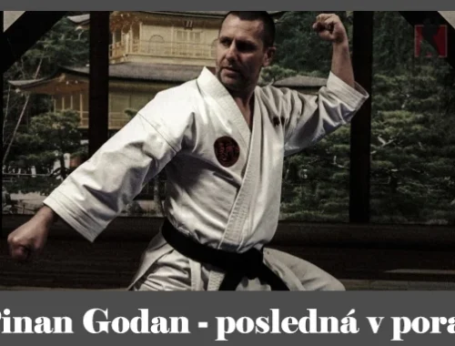 obrázok- karate kata Pinan Godan