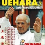 obrázok - obal dvd Seikichi Uehara Motobu Udunti