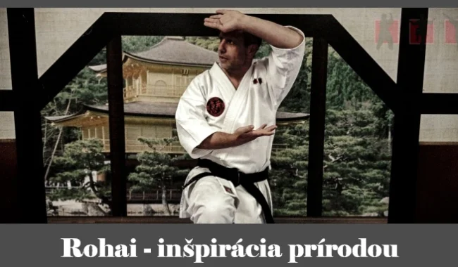 obrázok- karate kata Rohai