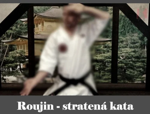 obrázok- karate kata Roujin