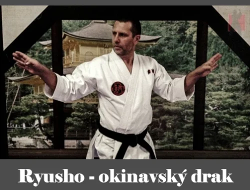 obrázok- karate kata Ryusho