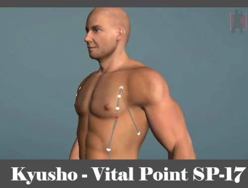 obrázok - Kyusho - poloha vitálneho (akupunktúrneho) bodu SP-17