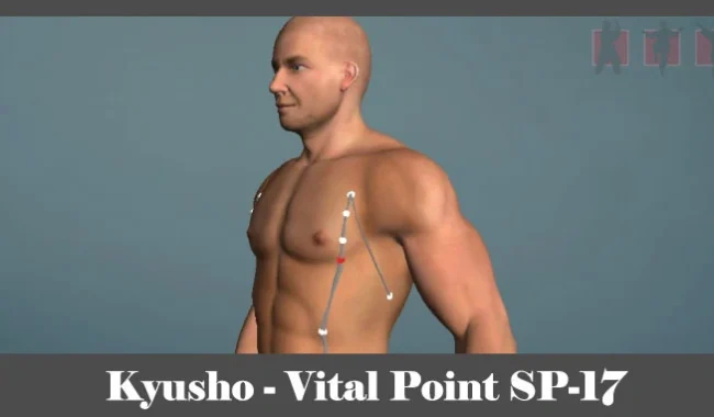 obrázok - Kyusho - poloha vitálneho (akupunktúrneho) bodu SP-17