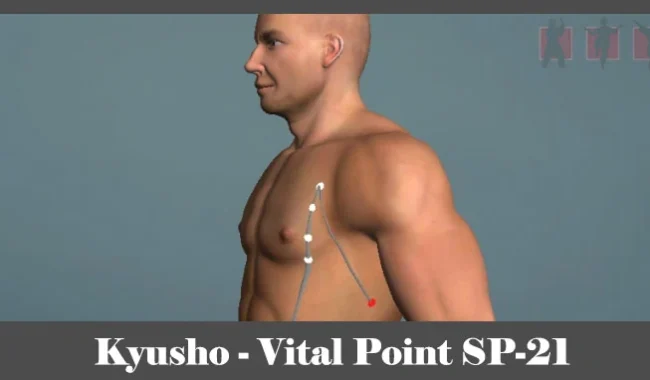 obrázok - Kyusho - poloha vitálneho (akupunktúrneho) bodu SP-21