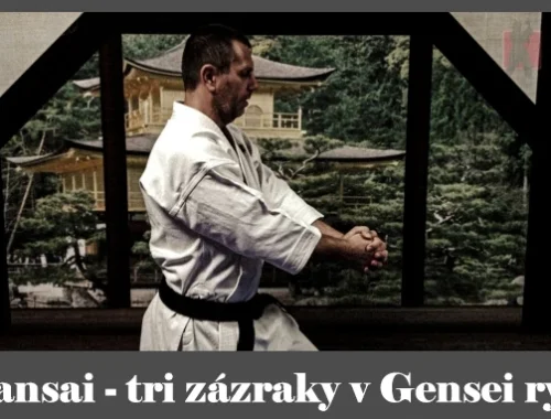 obrázok- karate kata Sansai