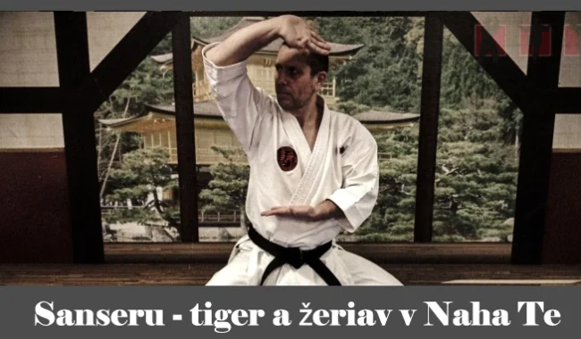 obrázok- karate kata Sanseru