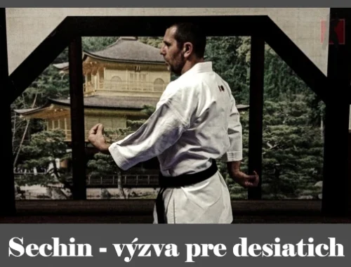 obrázok- karate kata Sechin