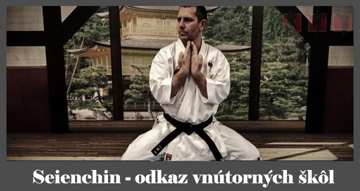 obrázok- karate kata Seienchin