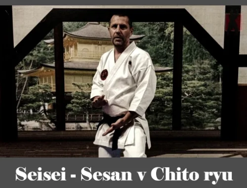 obrázok- karate kata Seisei