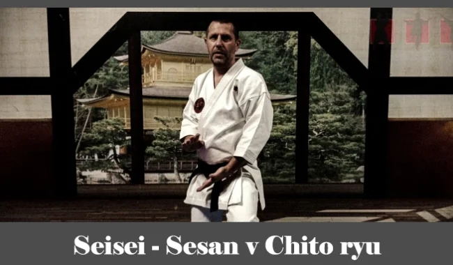 obrázok- karate kata Seisei