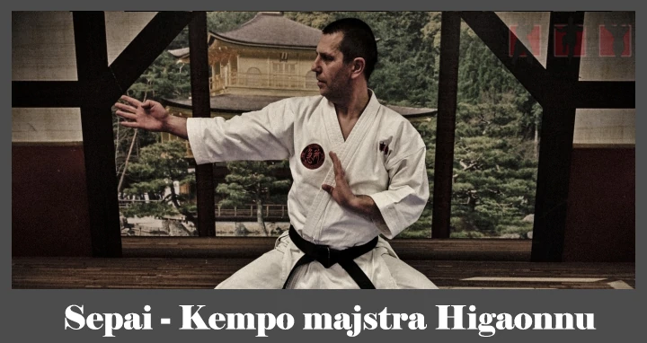 obrázok- karate kata Sepai