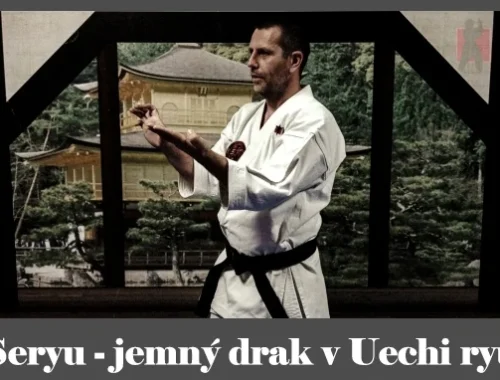 obrázok- karate kata Seryu