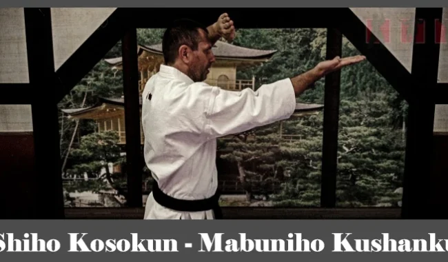 obrázok- karate kataShiho Kosokun