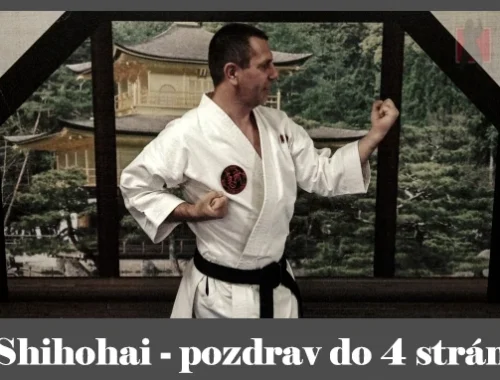 obrázok- karate kata Shihohai