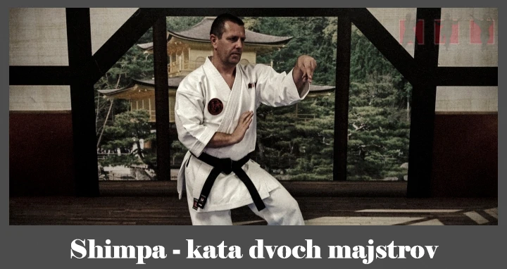 obrázok- karate kata Shimpa