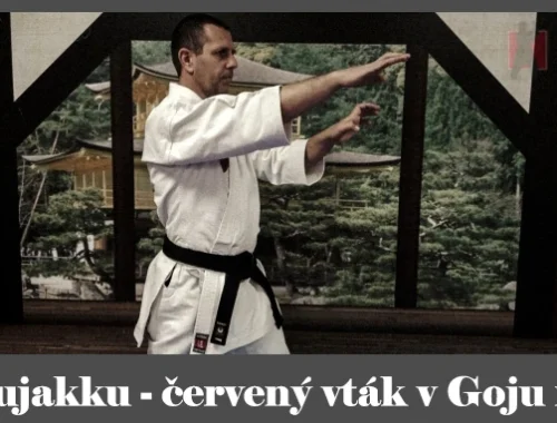 obrázok- karate kata Shujakku