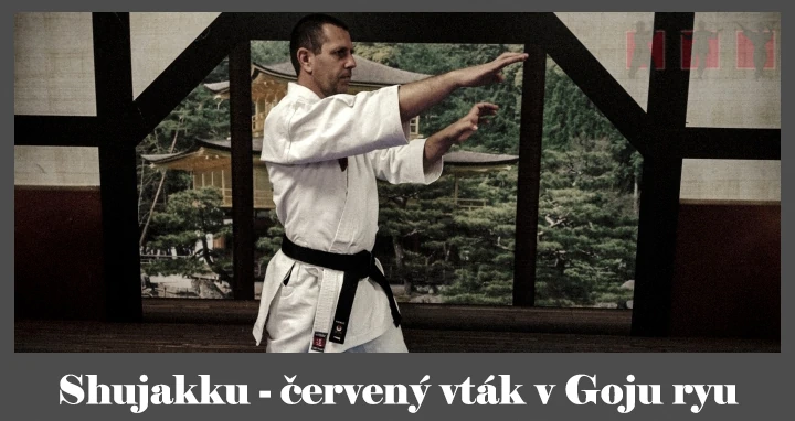 obrázok- karate kata Shujakku