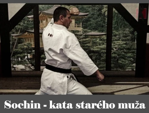 obrázok- karate kata Sochin