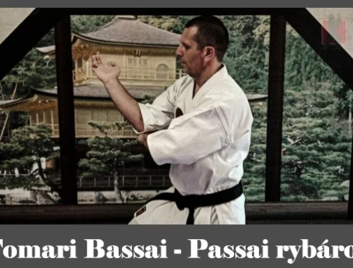 obrázok- karate kata Tomari Bassai