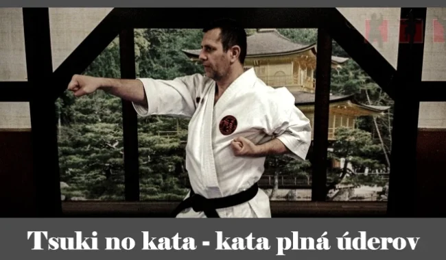 obrázok- karate kata Tsuki no kata