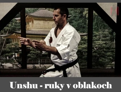 obrázok- karate kata Unshu
