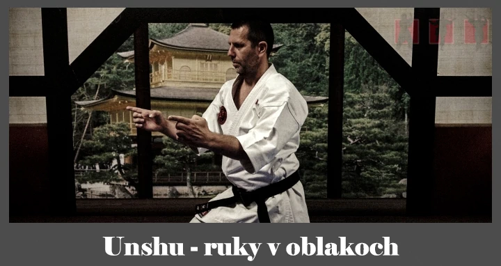 obrázok- karate kata Unshu