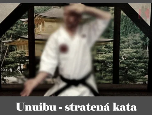 obrázok- karate kata Unuibu