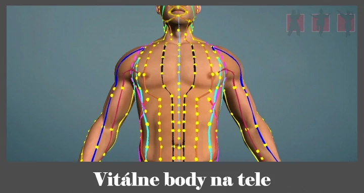 obrázok- meridiány vitálnych akupunktúrnych bodov na tele
