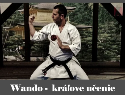 obrázok- karate kata Wando